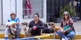 Un domingo familiar se disfrutó en la Diverti Ruta