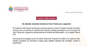 Se atiende incendio forestal en San Francisco Logueche