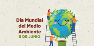 EfeméridesRIO: Día Mundial del Medio Ambiente