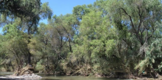 Juez federal concede amparo a persona indígena mixteca: ordena rescate del río Mixteco