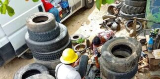 Fomenta SSO acciones preventivas contra el dengue