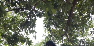 Siguen los robos domiciliarios en la ciudad de Oaxaca