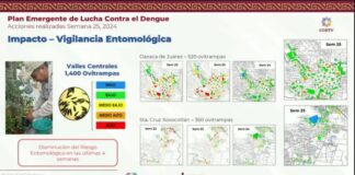 Suben casos de dengue en Oaxaca, reportan incremento de un 529 por ciento