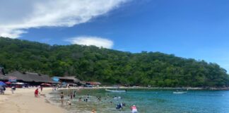 Las 14 playas de Oaxaca se encuentran aptas para su uso recreativo: SSO