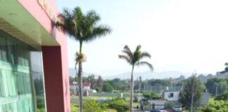 Emprenden reforestación en el Congreso de Oaxaca