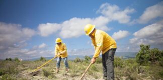 Impulsa Gobierno del Estado jornada de reforestación en Villa de Tamazulápam del Progreso