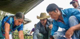Capacita Sefader a productores de maíz en San Pedro Taviche