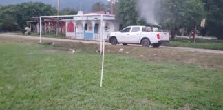 Combaten dengue con tamizaje de insecticidas