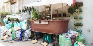 Ante las lluvias, pide SSO reforzar medidas contra el dengue