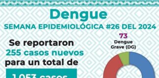 Registra SSO 255 casos nuevos de dengue