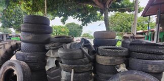 Realiza SSO verificaciones sanitarias en el combate al dengue