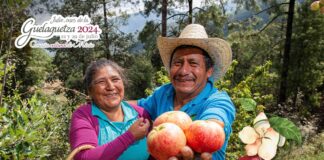 Realizará Santa Martha Latuvi octava Feria de la Manzana