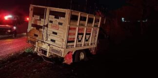 Mueren 5 personas tras ser arrollados en Miahuatlán