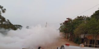 Redobla SSO los esfuerzos para prevenir el paludismo