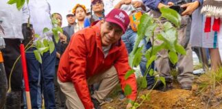 Arranca Mega Tequio de Reforestación en el Polígono de Monte Albán
