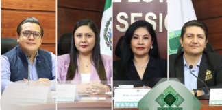 Ordena TEEO restar candidatura de diputación por el principio de representación proporcional al PT y asignarla al PVEM