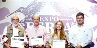 Personas investigadoras y consultoras apoyarán difusión cultural de Oaxaca