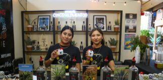 Por cada peso de inversión, se triplica la derrama económica en la Guelaguetza 2024