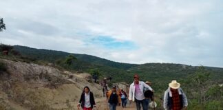 Realizan reforestación en San Antonio Acutla con 6 mil árboles