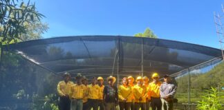Jornada de Reforestación llega a Santa María Yosoyúa