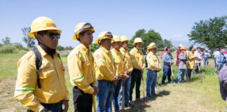 Plantan mil 200 árboles de Reforesta Oaxaca en el CIIDIR del Instituto Politécnico Nacional