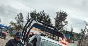 Fiscalía de Oaxaca inicia investigaciones ministeriales, tras muerte de al menos 15 perros en Nochixtlán