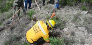 Jornada Estatal de Reforestación llega a San Luis Amatlán