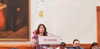 Suma Coesfo 8.7 mil hectáreas reforestadas en el estado