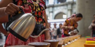 Realizarán del 6 al 8 de agosto Convención del Café Oaxaqueño 2024