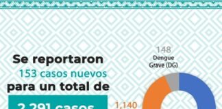 Reporta SSO 44 municipios con casos nuevos de dengue