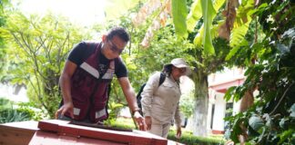 Actualiza SSO reporte epidemiológico de dengue
