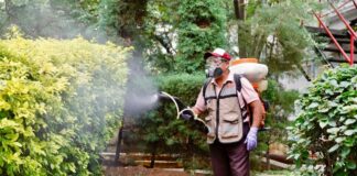 Contribuye Soapa a disminuir la propagación del mosquito transmisor de dengue