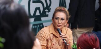 Destaca diputada Concepción Rueda reformas que impulsó en favor de mujeres, comunidades indígenas y migrantes