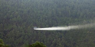 Emplea Coesfo más de 27 mdp en diversas acciones para salvaguardar el patrimonio natural de Oaxaca