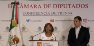 Indignante que exdirector del Registro Civil de Oaxaca sea asesor del senador Alejandro Murat: Margarita García