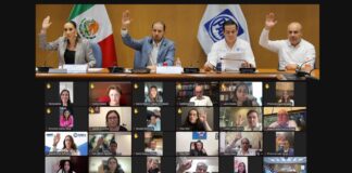 Expulsa el PAN de sus filas a diputada Naty Díaz