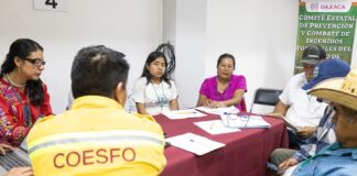 En Oaxaca se trabaja con comunidades forestales para construir su Programa Estatal de Manejo del Fuego