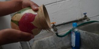 Llaman a seguir con acciones de patio y vivienda limpia