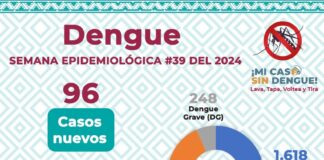 Reporta SSO 45 municipios con casos nuevos de dengue