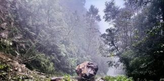 Protección Civil pide manejar con precaución ante deslaves en carreteras que conducen a la Sierra de Juárez y el Istmo de Tehuantepec