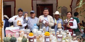 Personas productoras impulsan autosuficiencia y conservación agrícola en Oaxaca