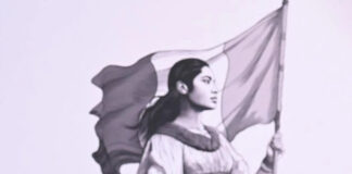 Sheimbaum impulsa reformas para fortalecer Pemex, CFE y trenes de pasajeros