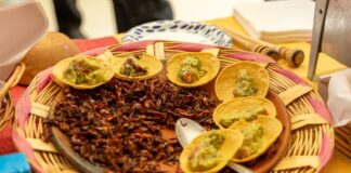 En un ambiente festivo y popular, Oaxaca celebrará el Día de Muertos, la fiesta más viva de todas