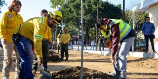 Con Mega Tequio reforestan el Parque Primavera Oaxaqueña previo a su inauguración