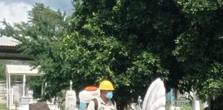 Inicia SSO operativo contra el dengue en 279 panteones