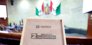 ¿Por qué no florece la Primavera Oaxaqueña?