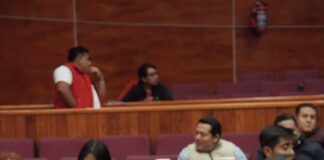 Liz Concha Coordinadora del Grupo Parlamentario Plural destaca los beneficios de la reforma en materia de simplificación orgánica