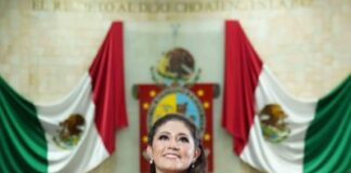 Renuncia la diputada Liz Concha al PRI