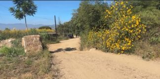 Once muertos en tres días en Oaxaca; en Santiaguito Etla el segundo ejecutado del sábado