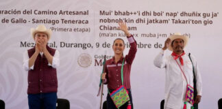 Vamos a garantizar la electricidad a las comunidades como parte de los planes de justicia para los pueblos indígenas: Sheinbaum